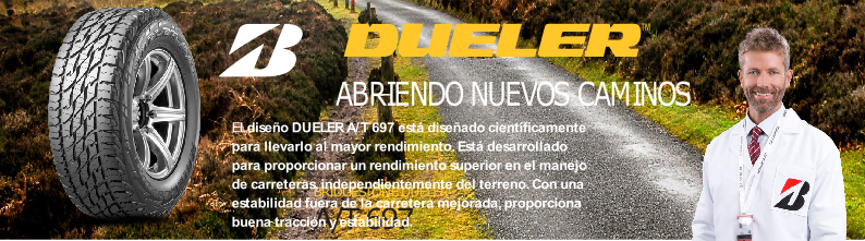 Nuevo ! Bridgestone Dueler 697 - Grupo Testa